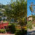 Double Wide 10