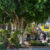 Double Wide 6